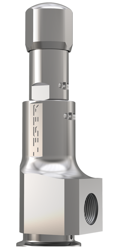 LESER Clean Service Safety Valve Type 481