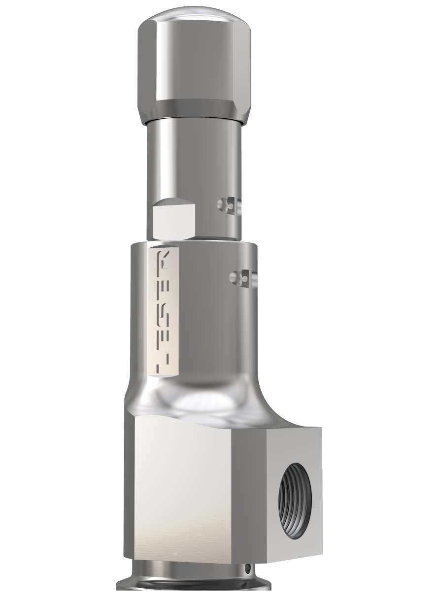 LESER Clean Service Sicherheitsventil Type 481
