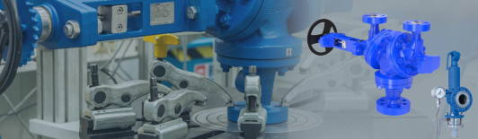 Best Availability Safety Valve from LESER