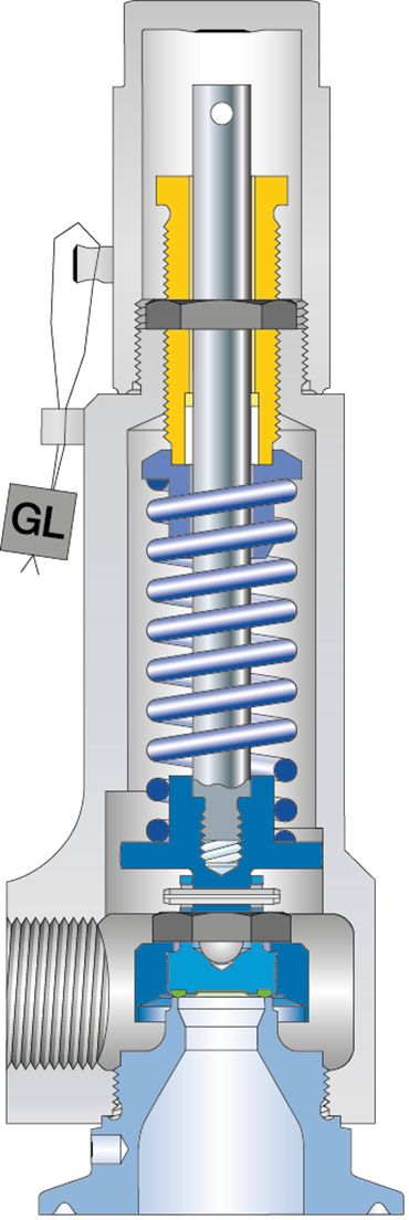 LESER Clean Service Safety Valve Type 481 Cutting image