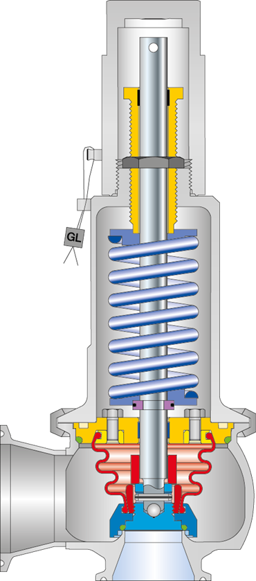 LESER Clean Service Safety Valve Type 483 Cutting image