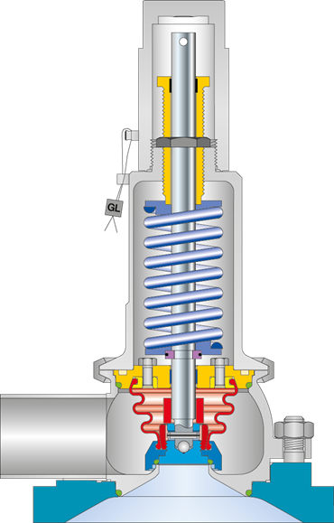 LESER Clean Service Safety Valve Type 484 Cutting image