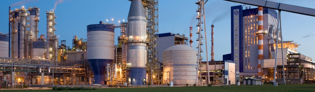 Celulose e papel stage