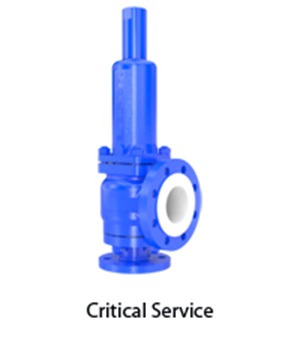 Critical_Service_Maintenance_txt