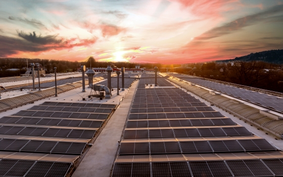 LESER_Nachhaltigkeit_Sustainability_Teaser